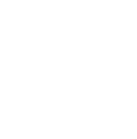 Lifetime