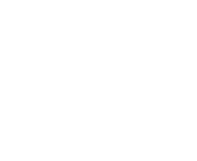 MEGAPIX HD