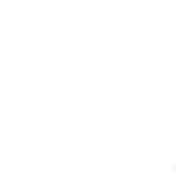 TNT